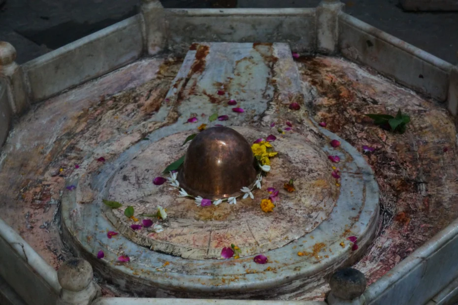 Shiva Puja ceremony showing sacred Shiva Lingam at altar center with colorful flower petal offerings, traditional stone altar, ritual cleansing channels, and devotional worship setup for Lord Shiva spiritual connection